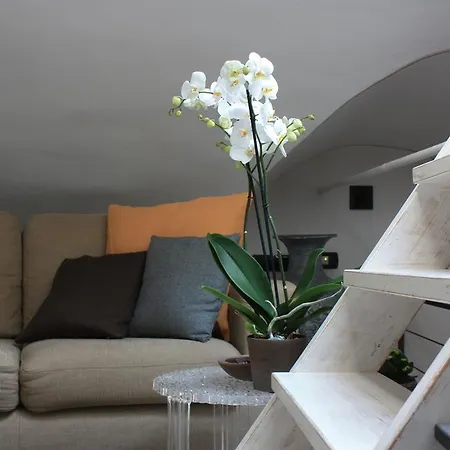 Stardust - Bedbluesky Holiday home Dolceacqua